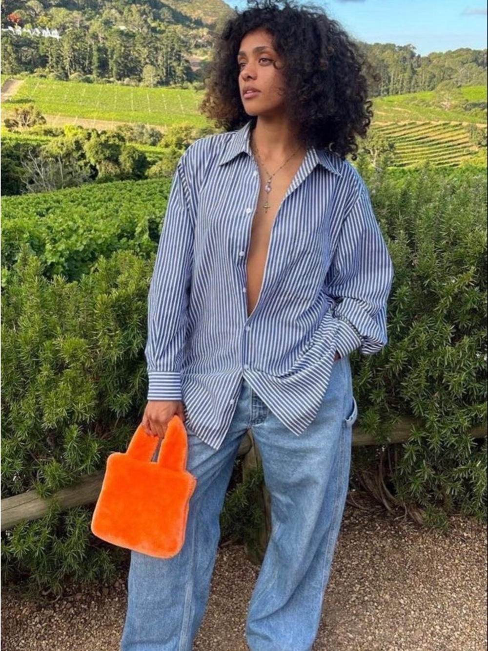 Vintage Chadwicks Cotton Oversized Striped Button-Down Shirt - Blue, Large